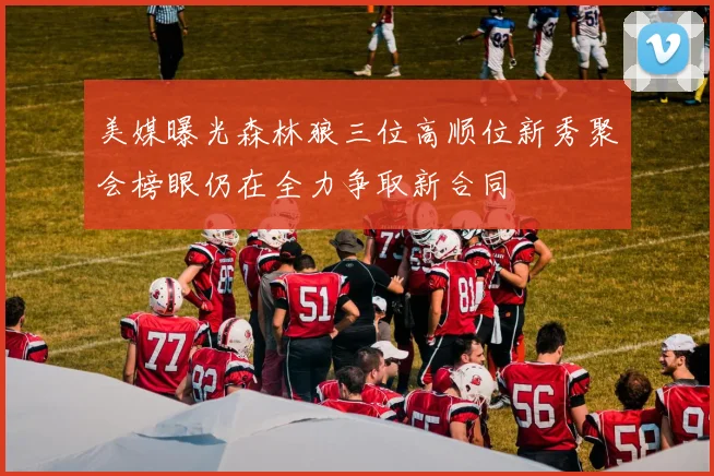 美媒曝光森林狼三位高顺位新秀聚会榜眼仍在全力争取新合同