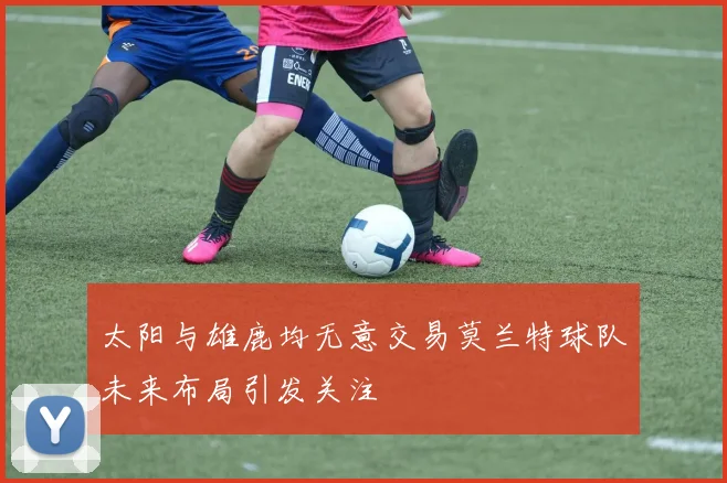 太阳与雄鹿均无意交易莫兰特球队未来布局引发关注