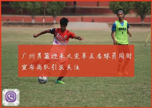 广州男篮迎来大变革五名球员同时宣布离队引发关注