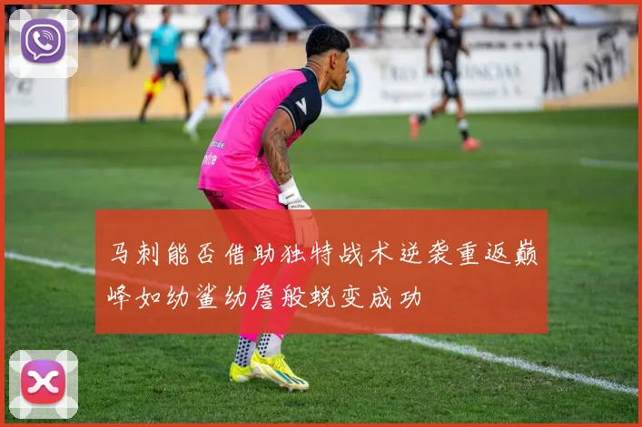马刺能否借助独特战术逆袭重返巅峰如幼鲨幼詹般蜕变成功
